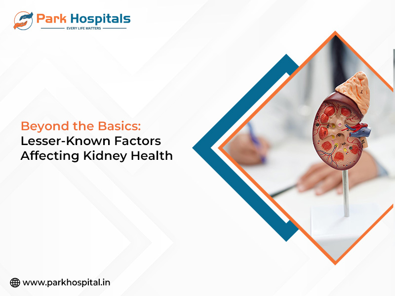 Beyond the Basics: Lesser-Known Factors Affecting Kidney Health